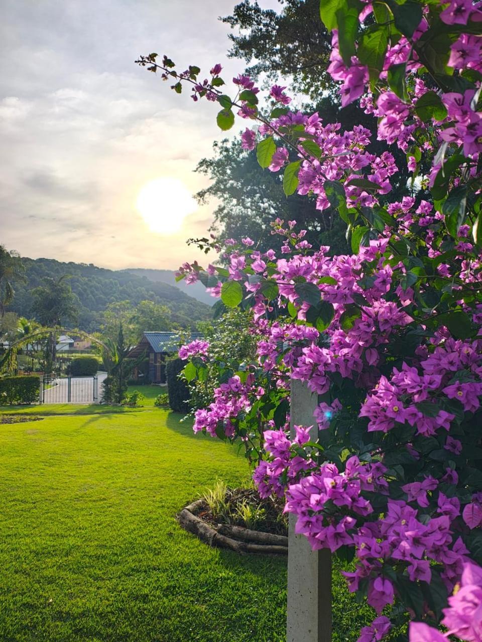 Pousada E Restaurante Casa Cida E Evandro กัสปาร์ ภายนอก รูปภาพ